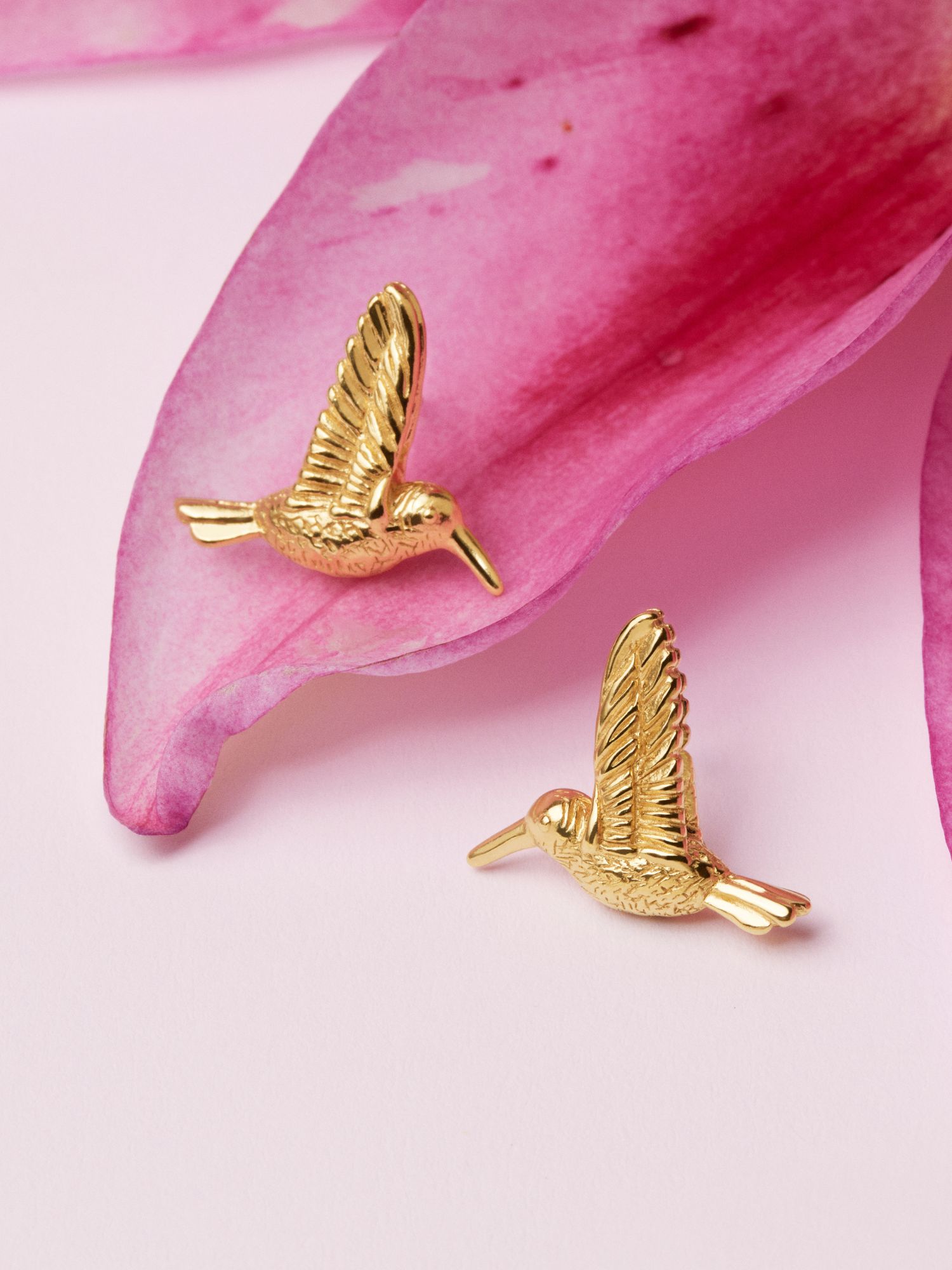 Hummingbird Studs bild 5