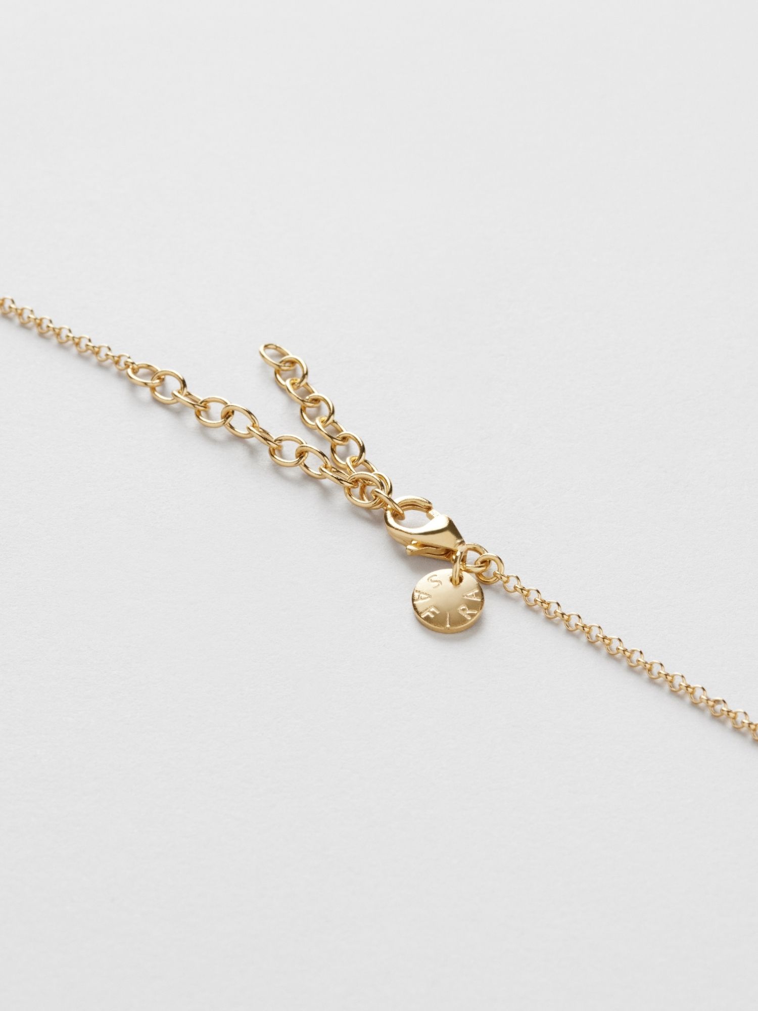 Hummingbird Halsband bild 5