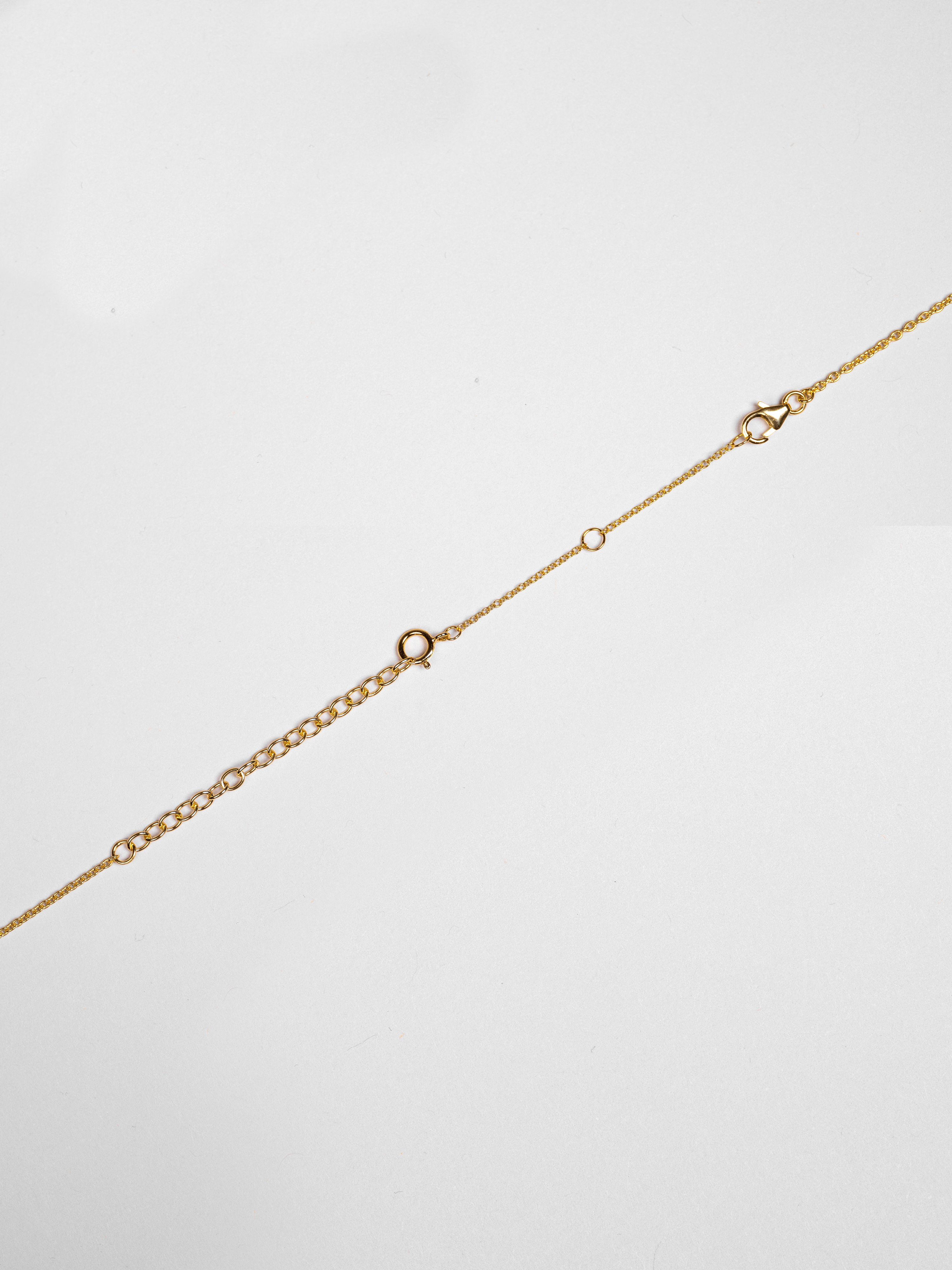 Halsbandsförlängare 5 cm bild 2