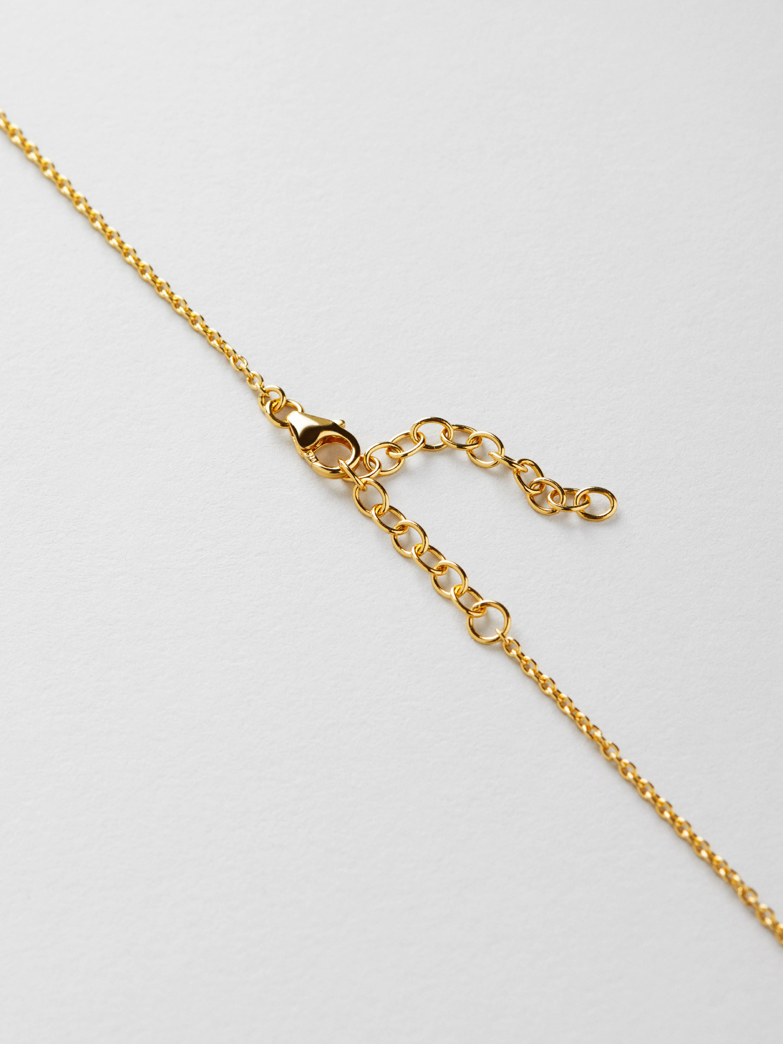 Reparo Halsband bild 4